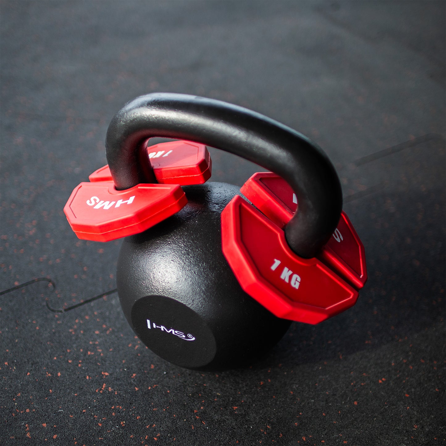 1 kg Weight Plates for Strength & Fitness Training