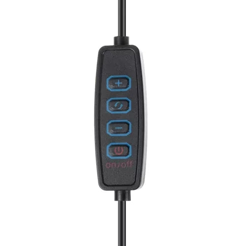 2in1 Izoxis 23503 desk lamp