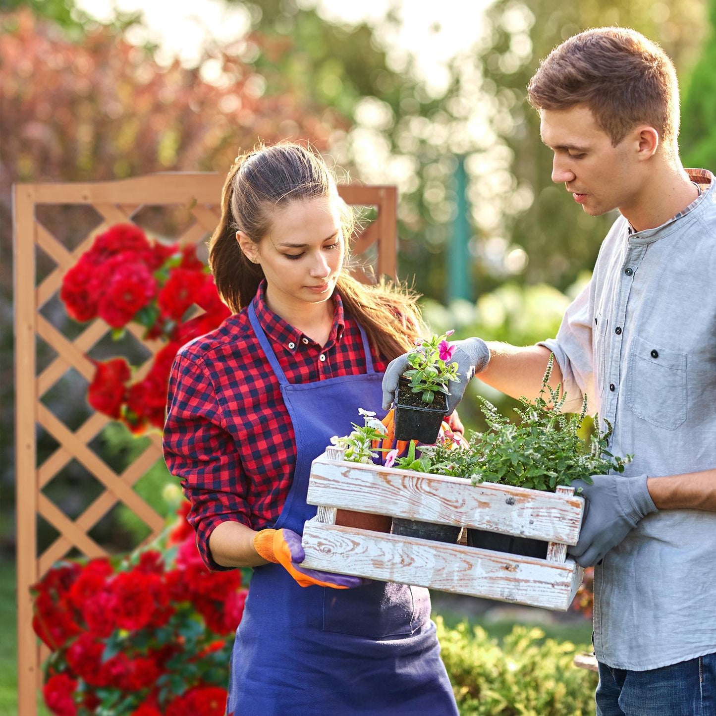 2 in 1 Wooden Planter Box with Lattice