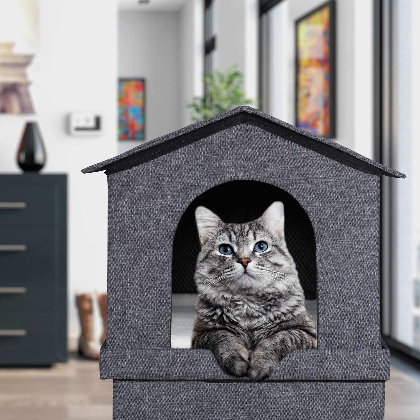 2 storey cat house for indoors
