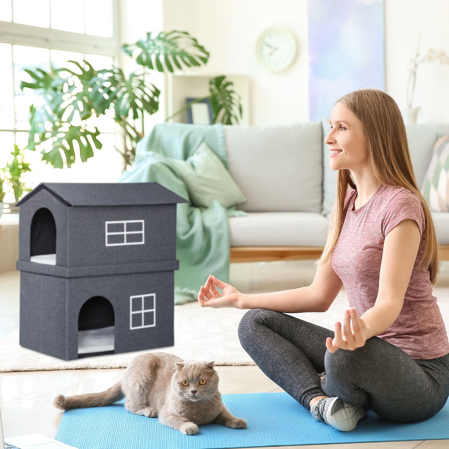 2 storey cat house for indoors
