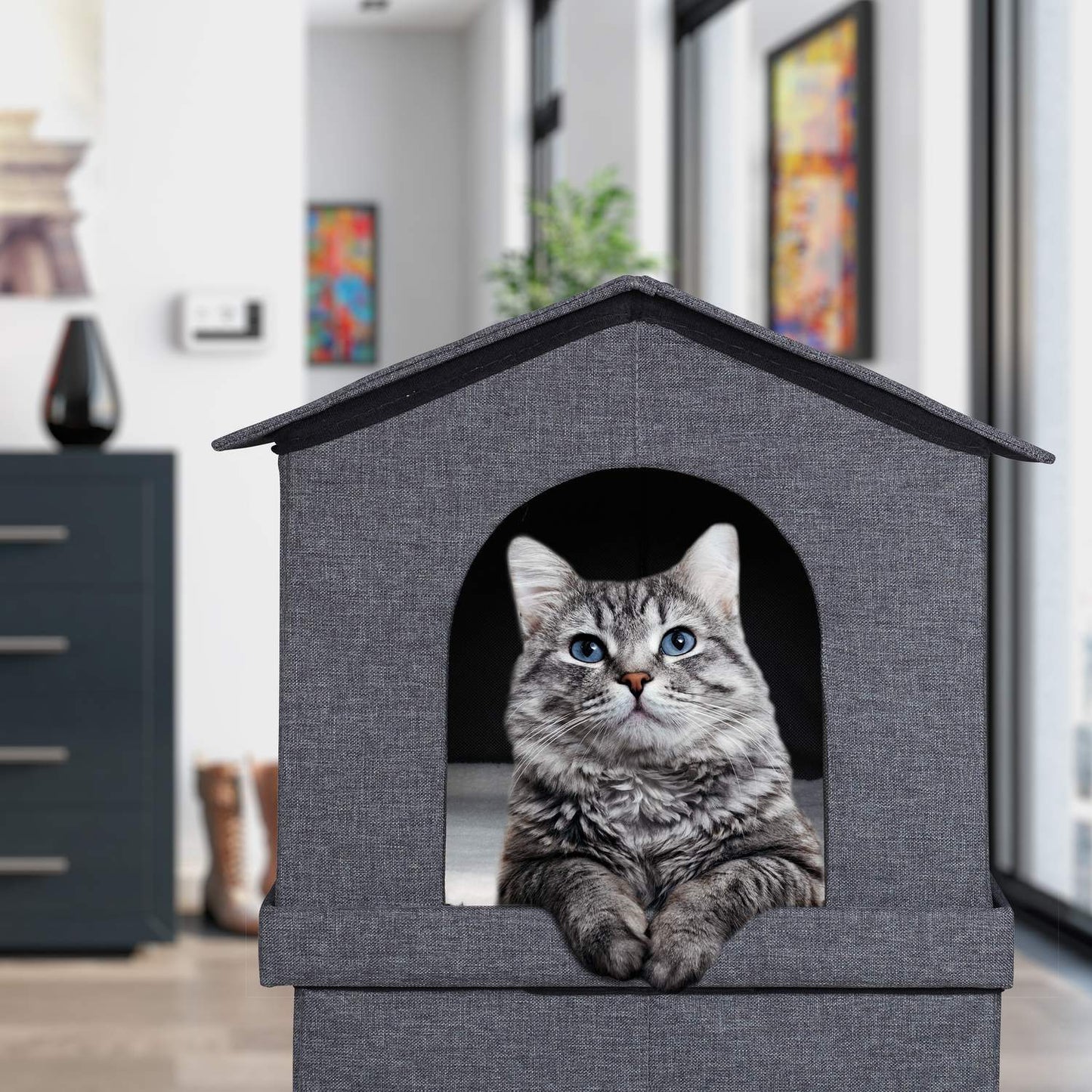 2 storey cat house for indoors