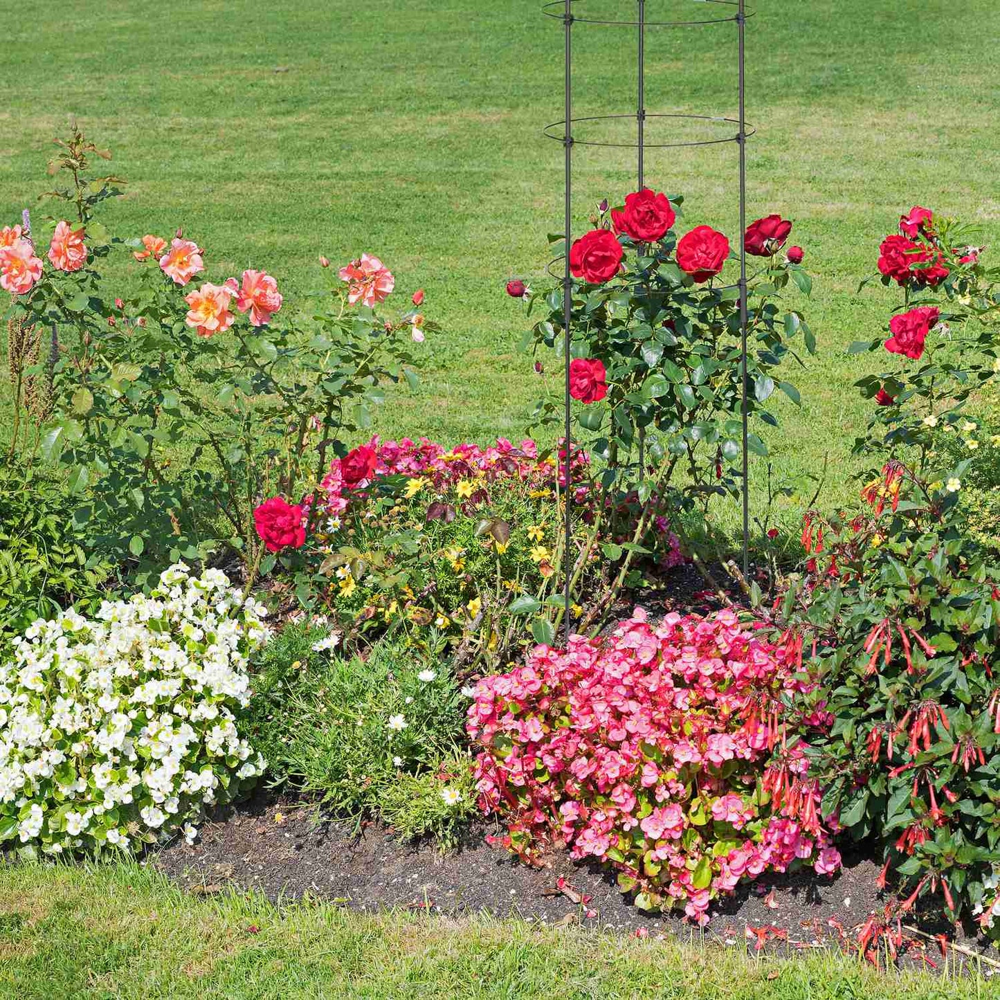 2x Plant Supports with Rings, 120 cm