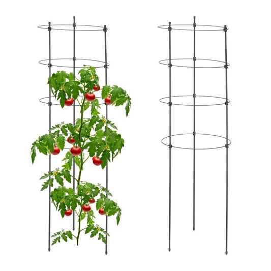 2x Plant Supports with Rings, 90 cm