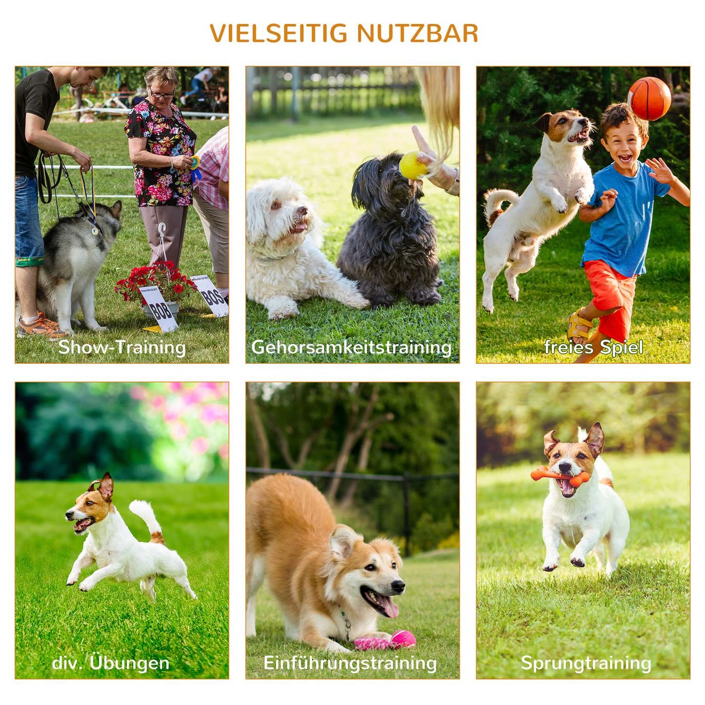 Dog Agility Training Set, 3-piece, easy to carry