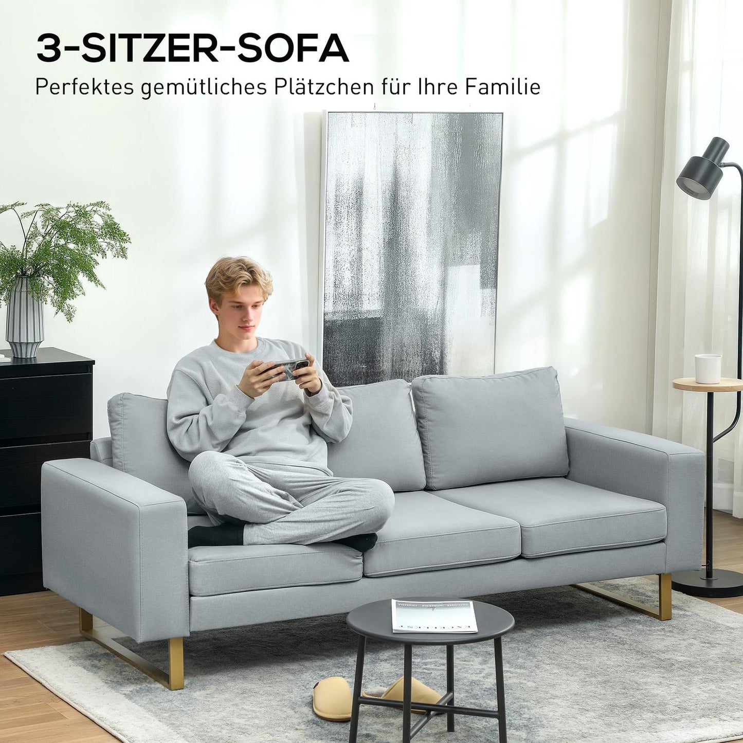 3-seater sofa, couch with solid wood frame, metal legs, simple design, light grey