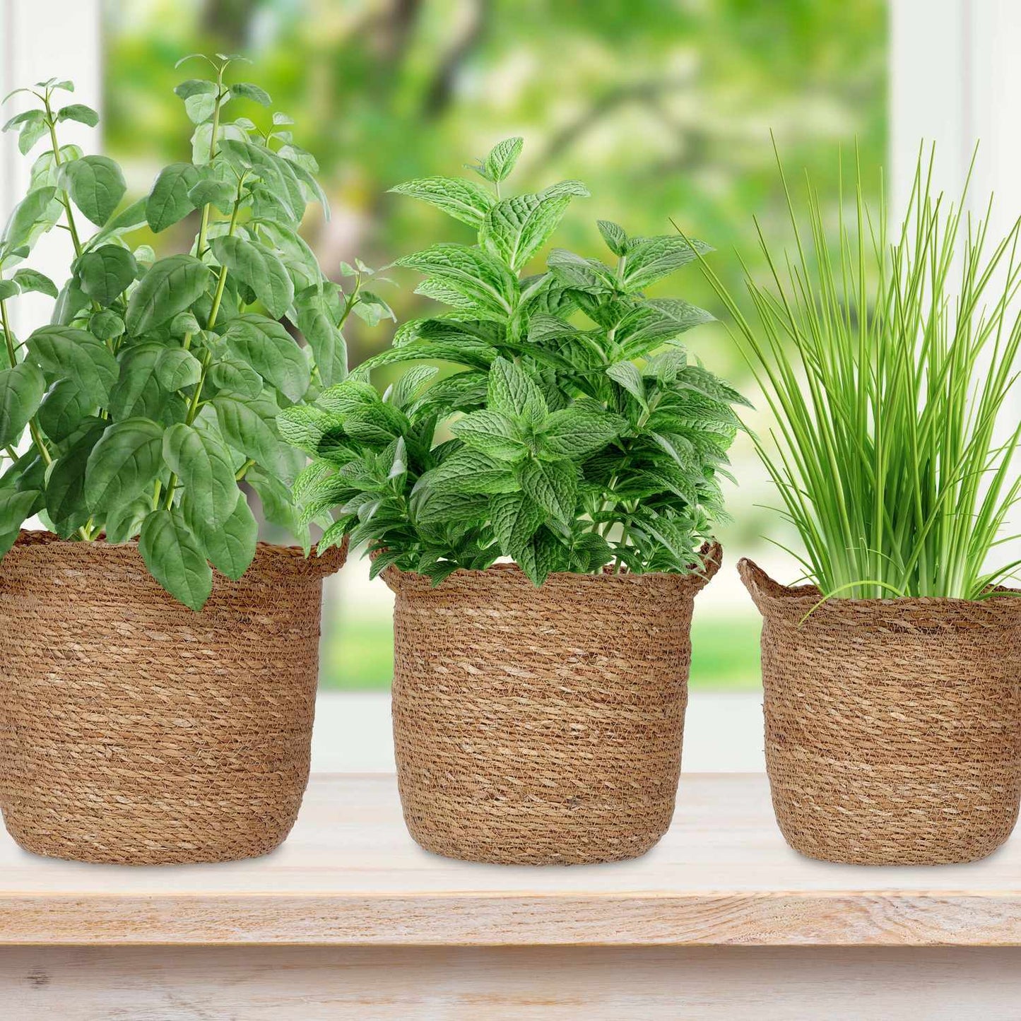 3x seaweed flower pot with handle