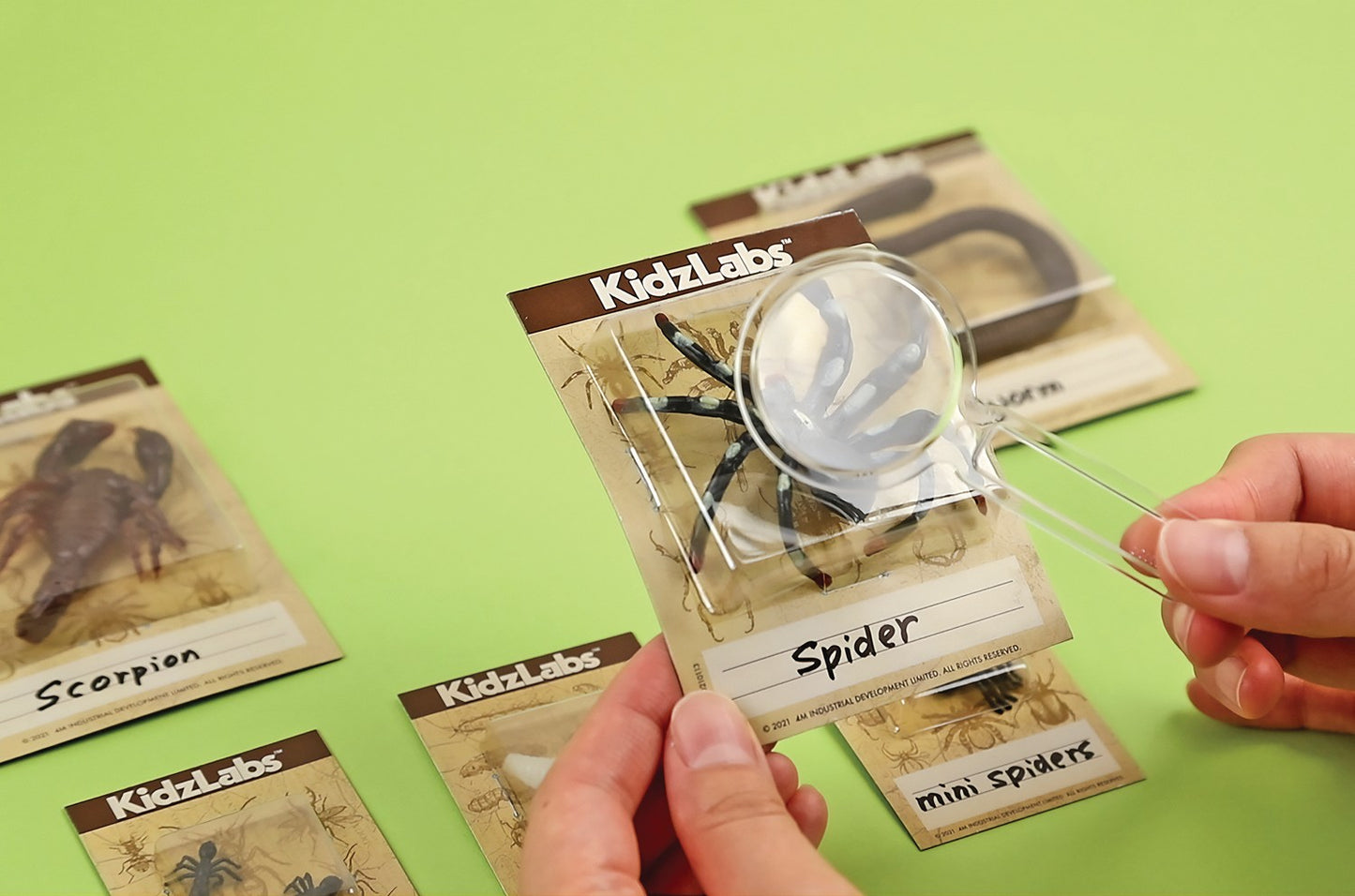 4M Diy Set Creepy Crawly Digging