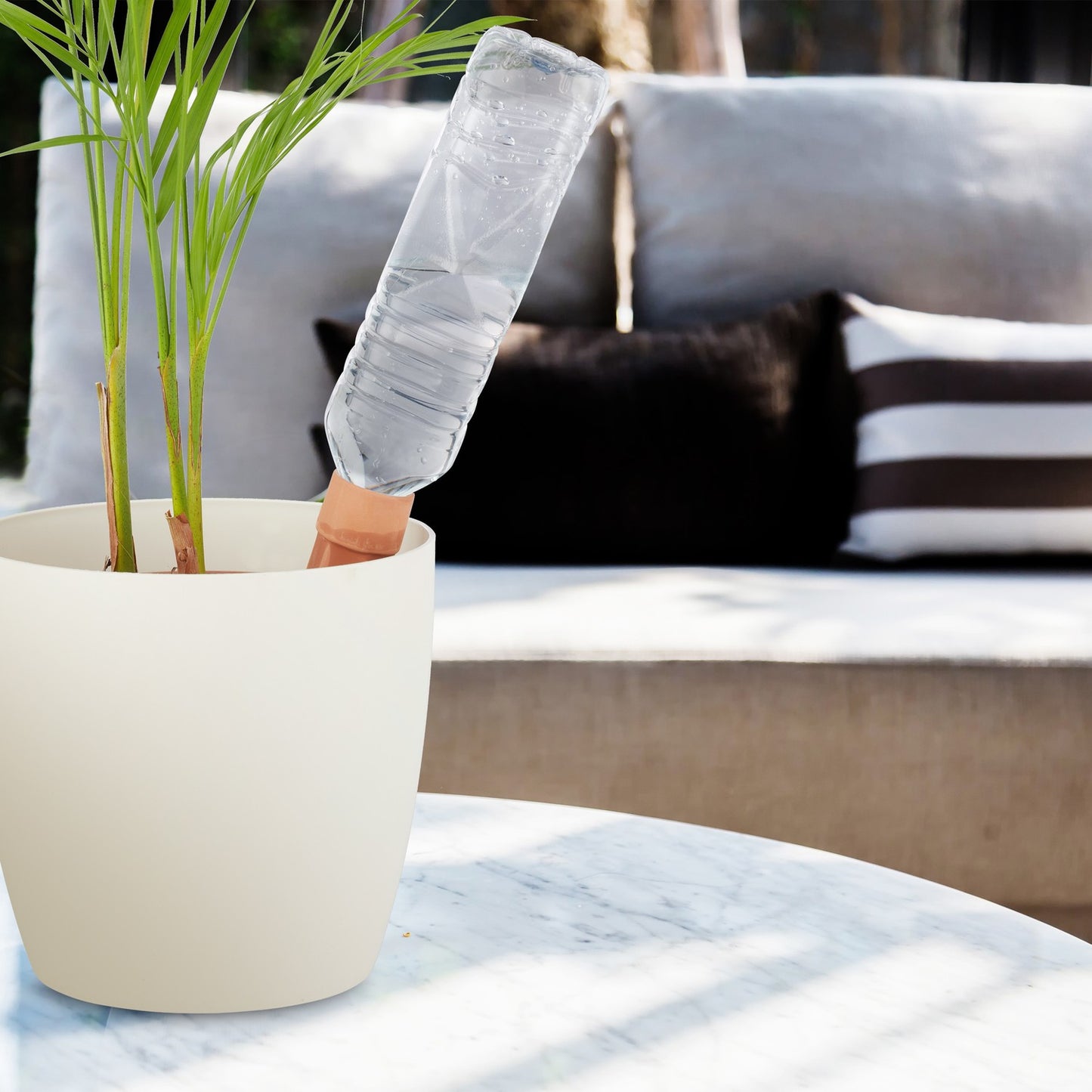 4 holiday watering cans
