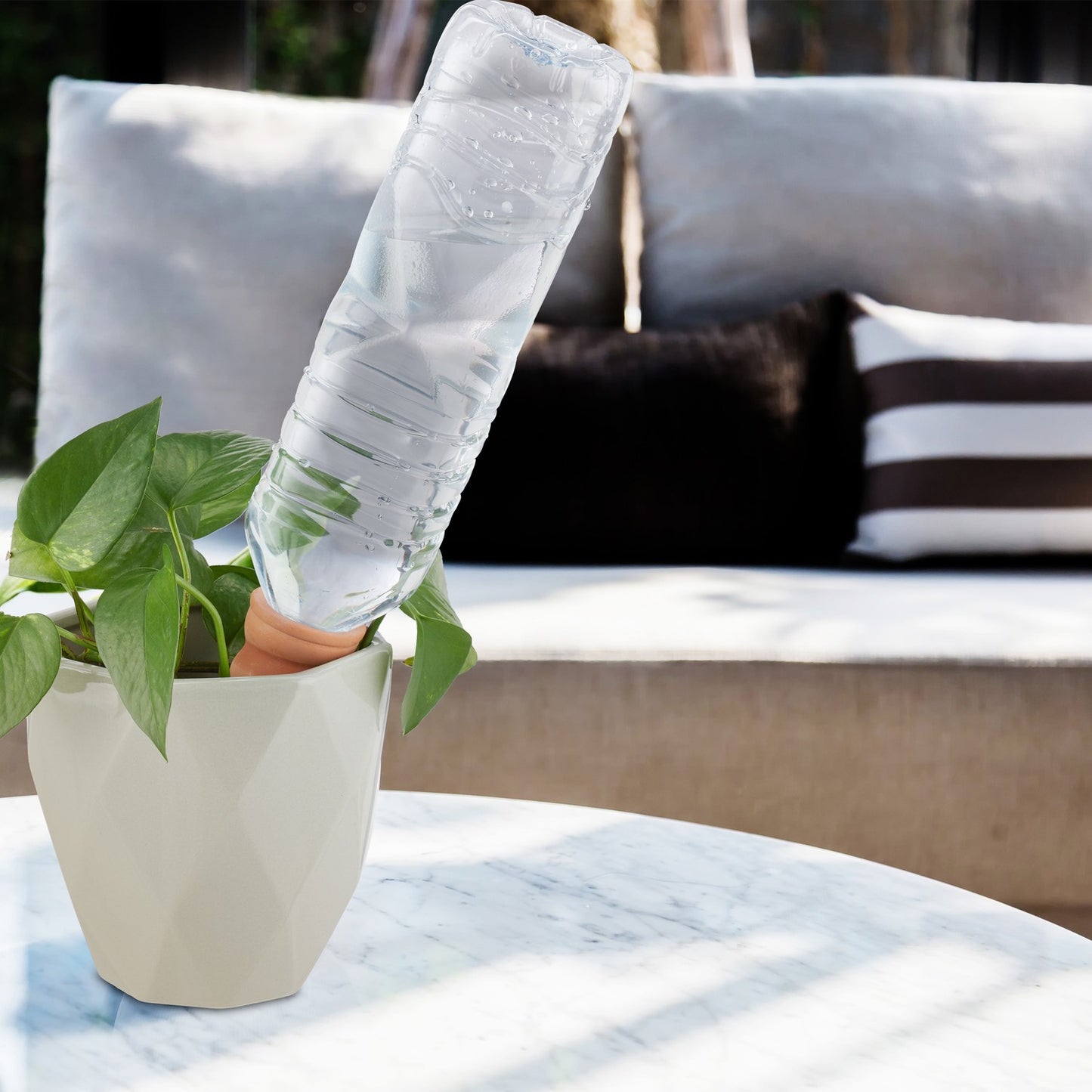 4 holiday watering cans