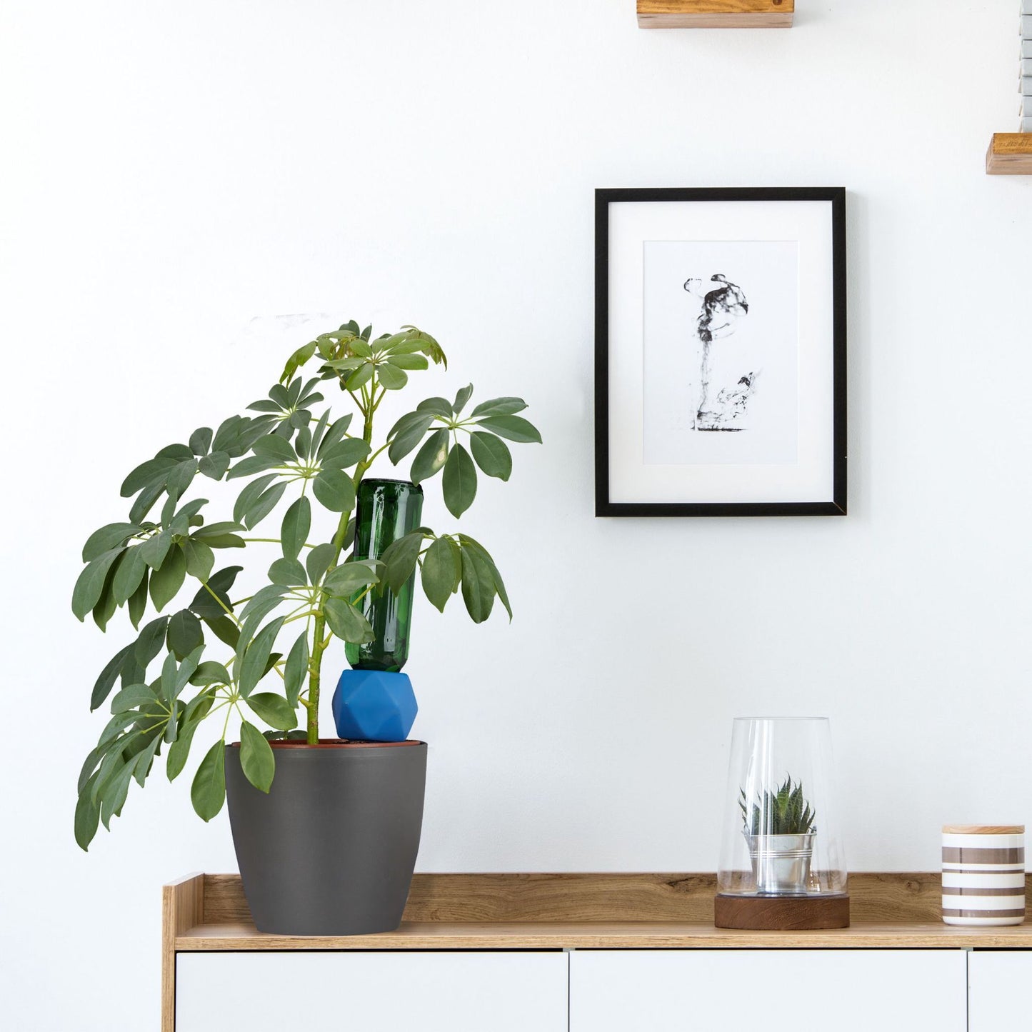 4 irrigation globes
