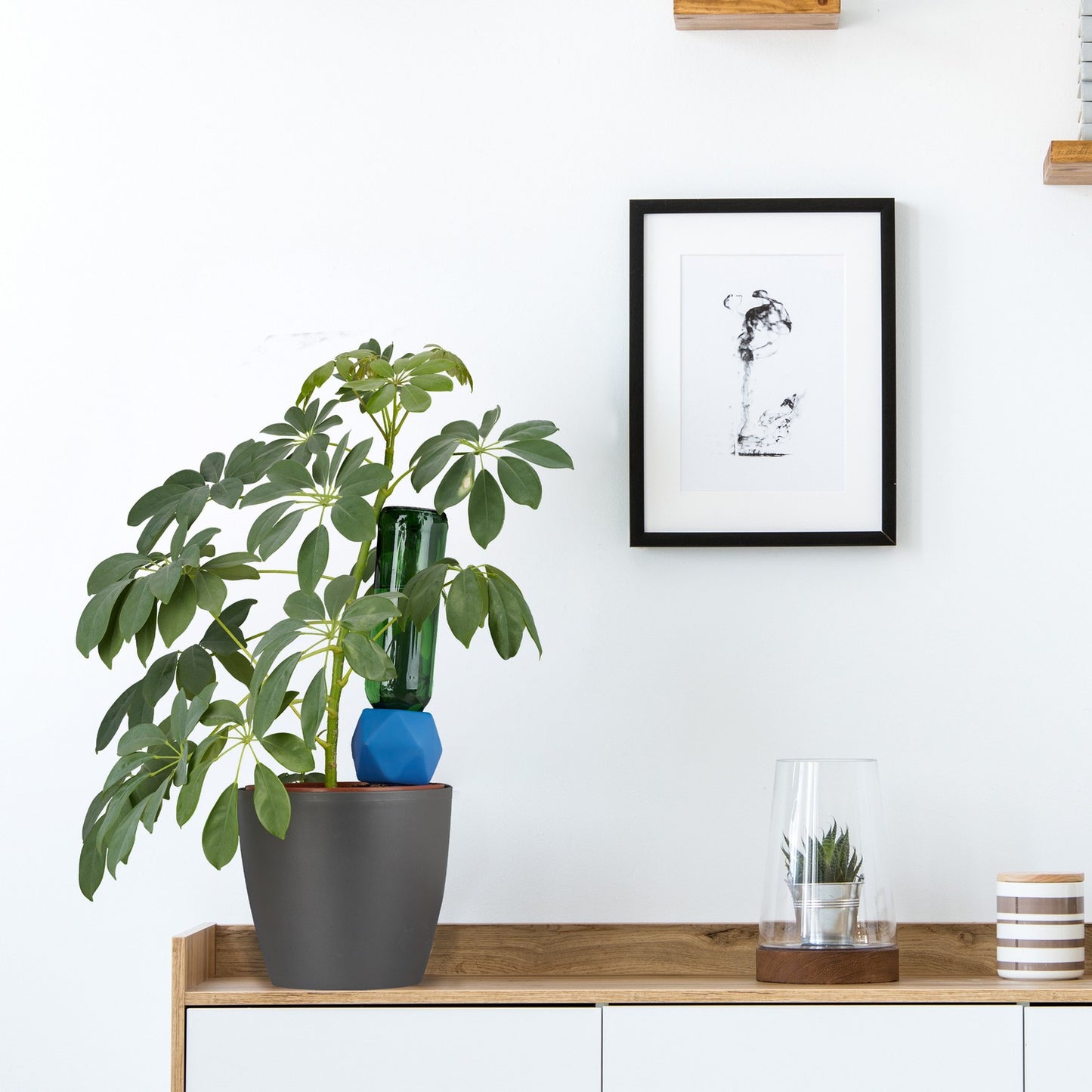 4 irrigation globes
