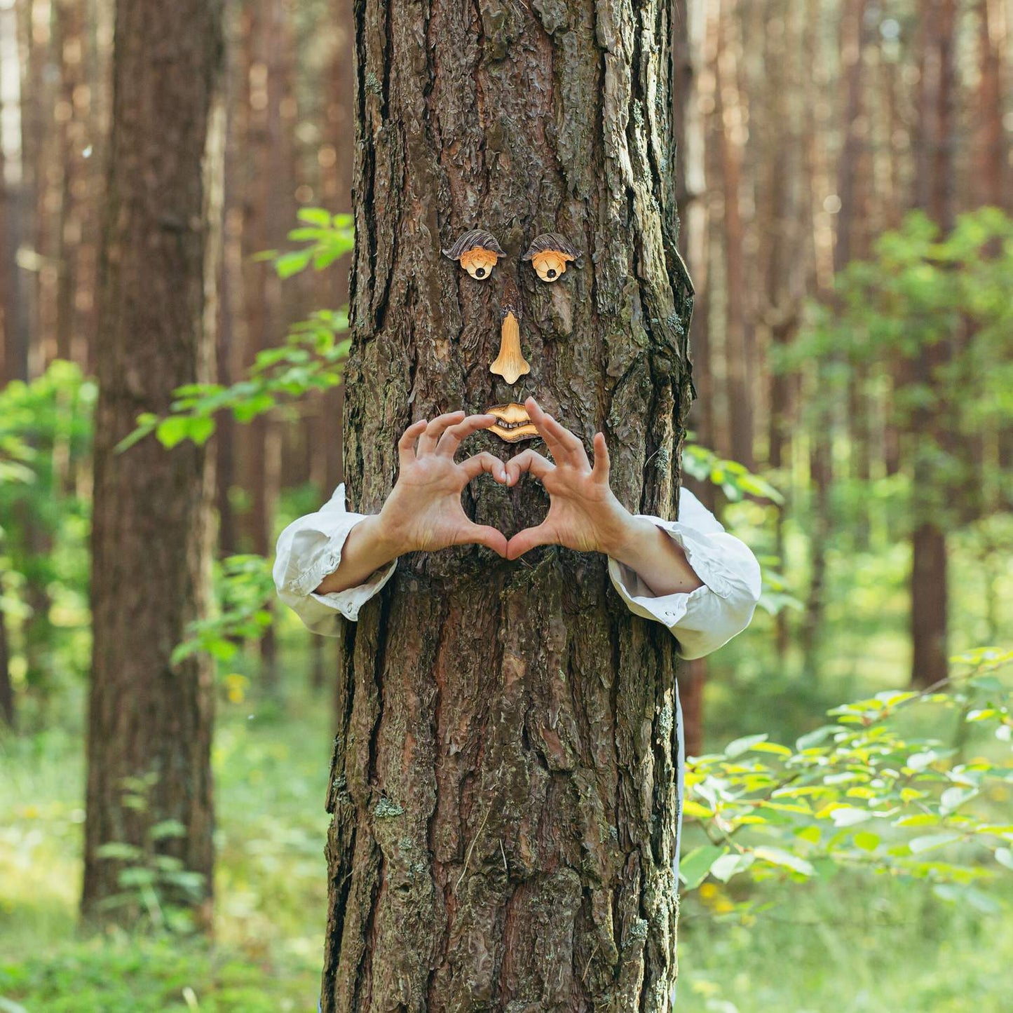 4-piece Tree Face with Brows