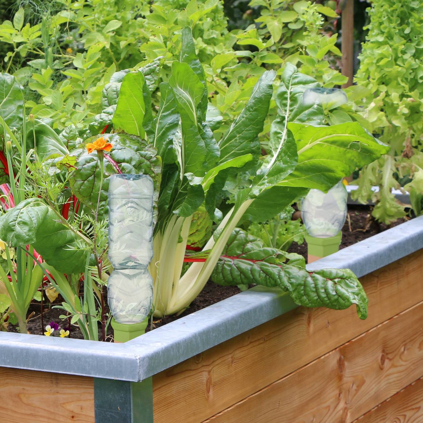 4 pot watering cans