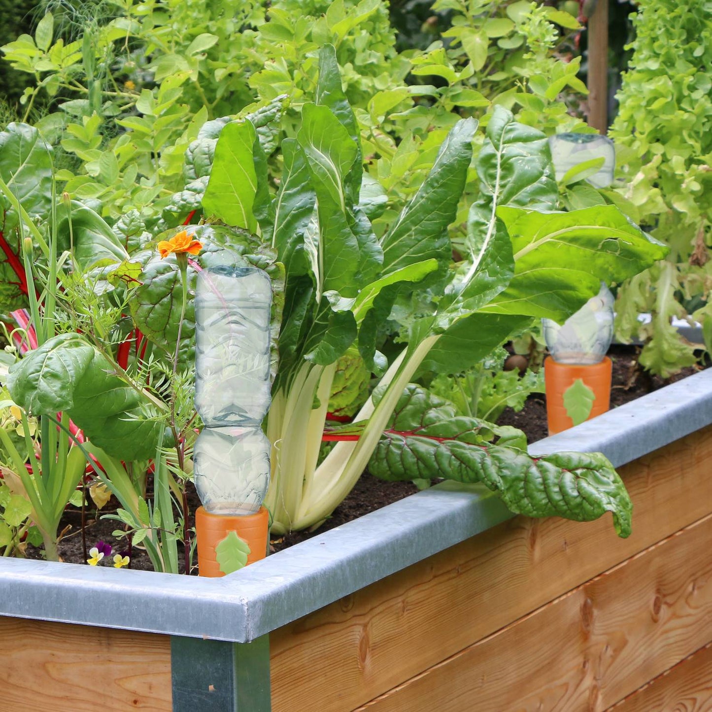 4 pot watering cans