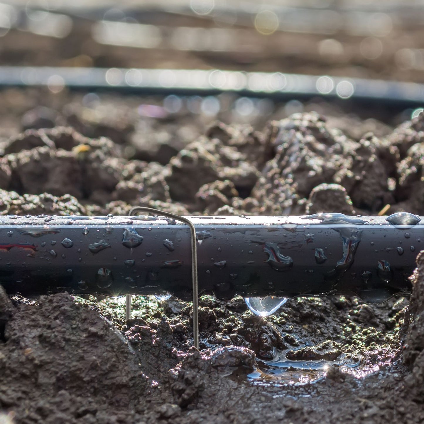 50 sets with ground anchoring