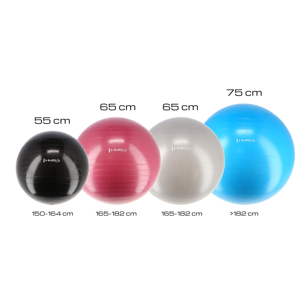 55cm Blue Gym Ball – Anti-Burst, Non-Slip