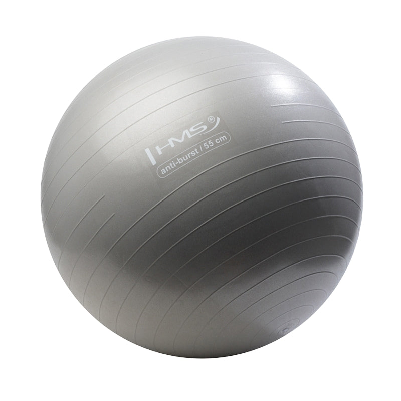 55cm Graphite Gym Ball – Anti-Burst Stability Ball