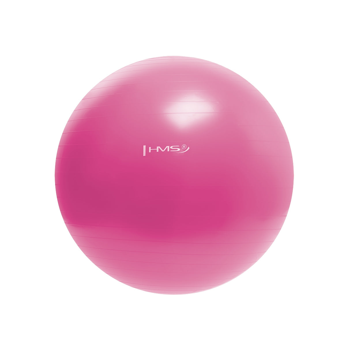 55cm Pink Gym Ball – Anti-Burst, Non-Slip
