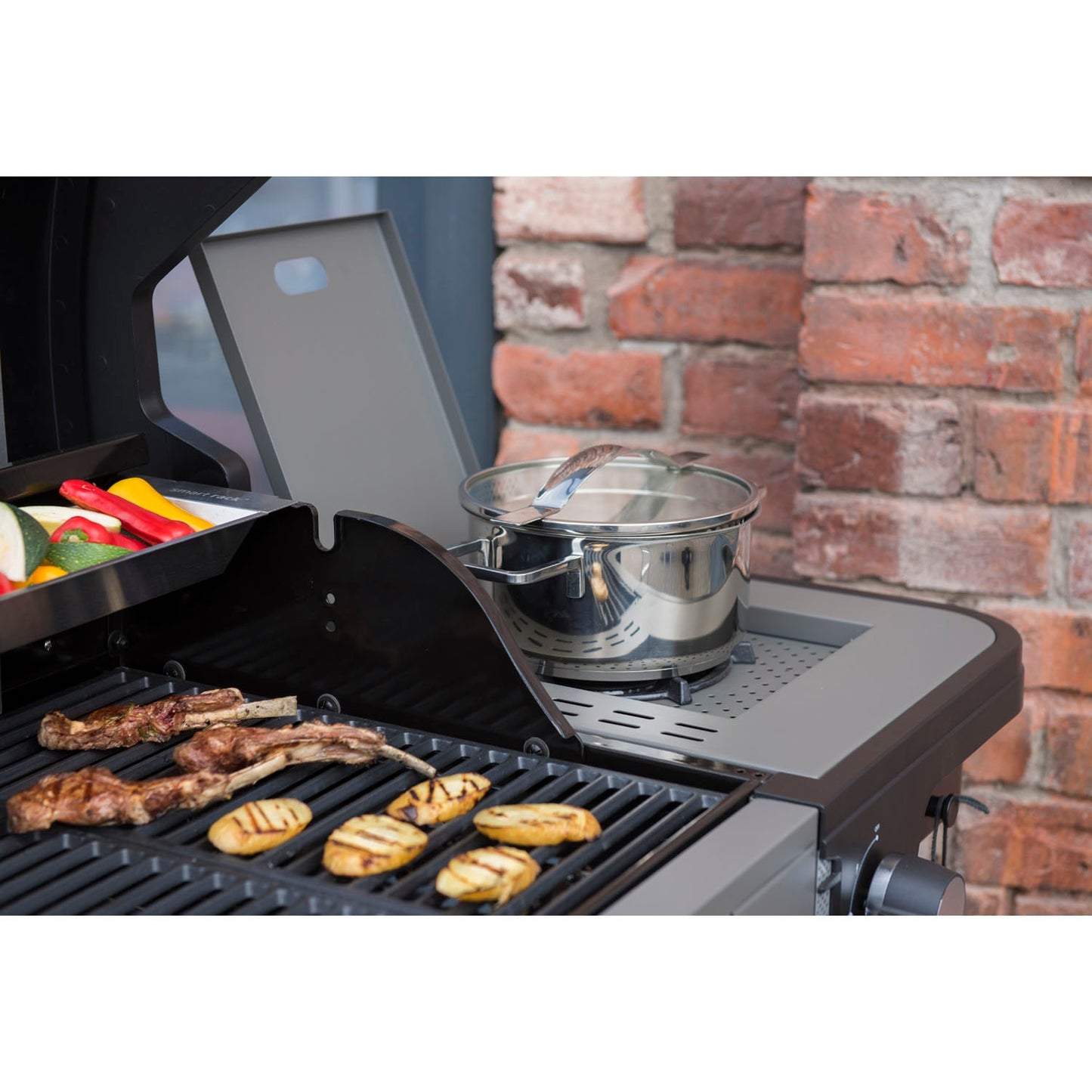 5-Burner Gas Grill with Side and Rear Burners