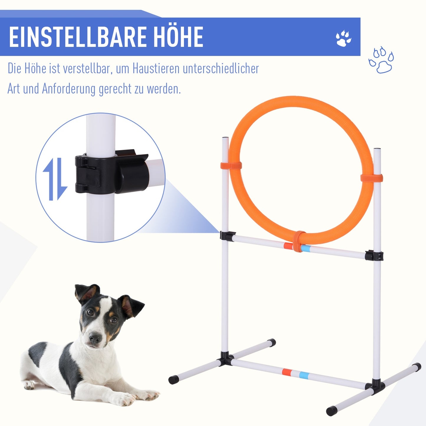 Dog Agility Set with Tunnel, Portable Training Kit