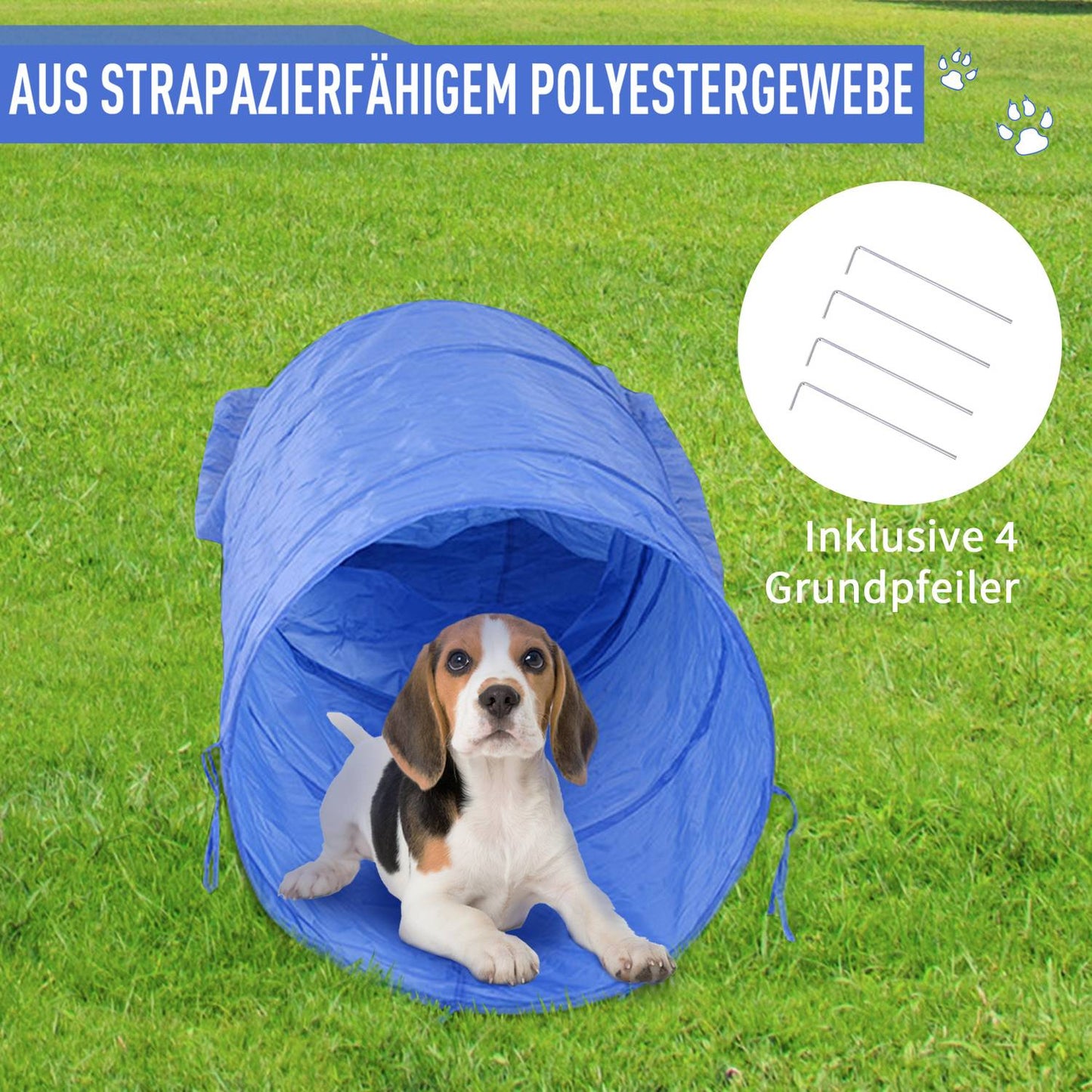 Dog Agility Set with Tunnel, Portable Training Kit