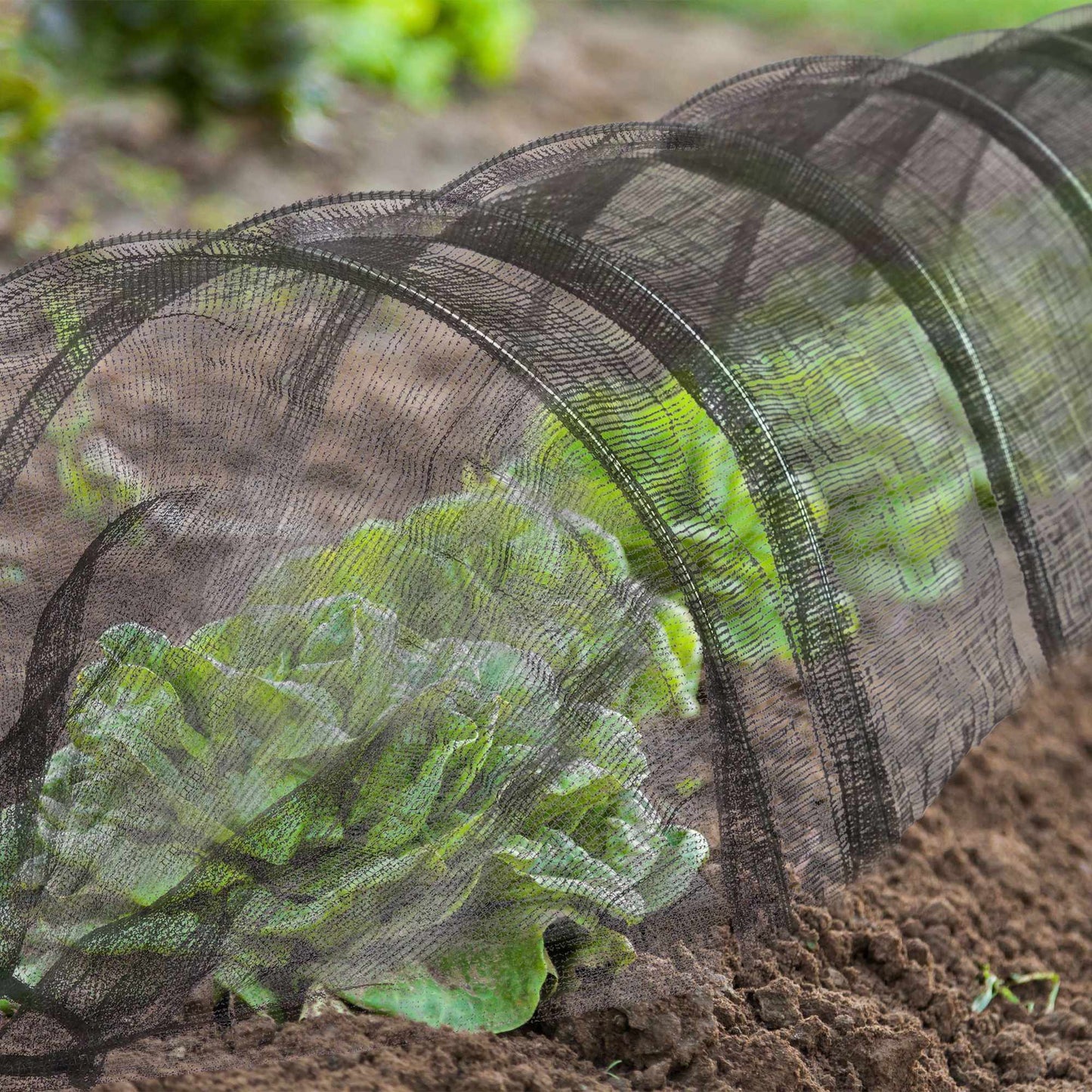 5m Plant Grow Tunnel