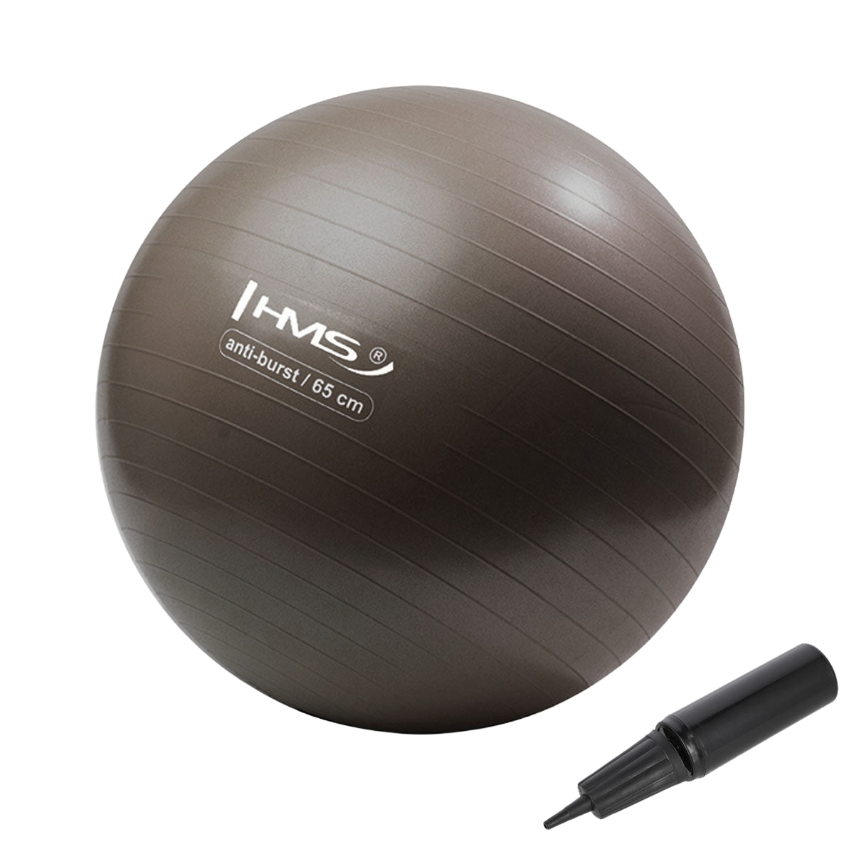 65cm Anti-Burst Gym Ball for Exercise & Yoga