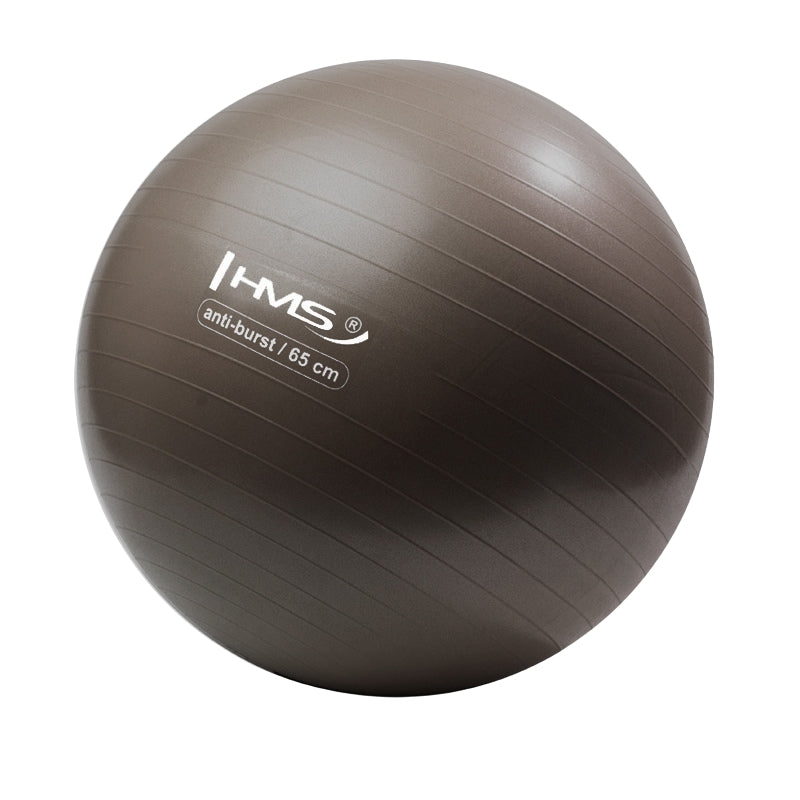 65cm Anti-Burst Gym Ball for Exercise & Yoga