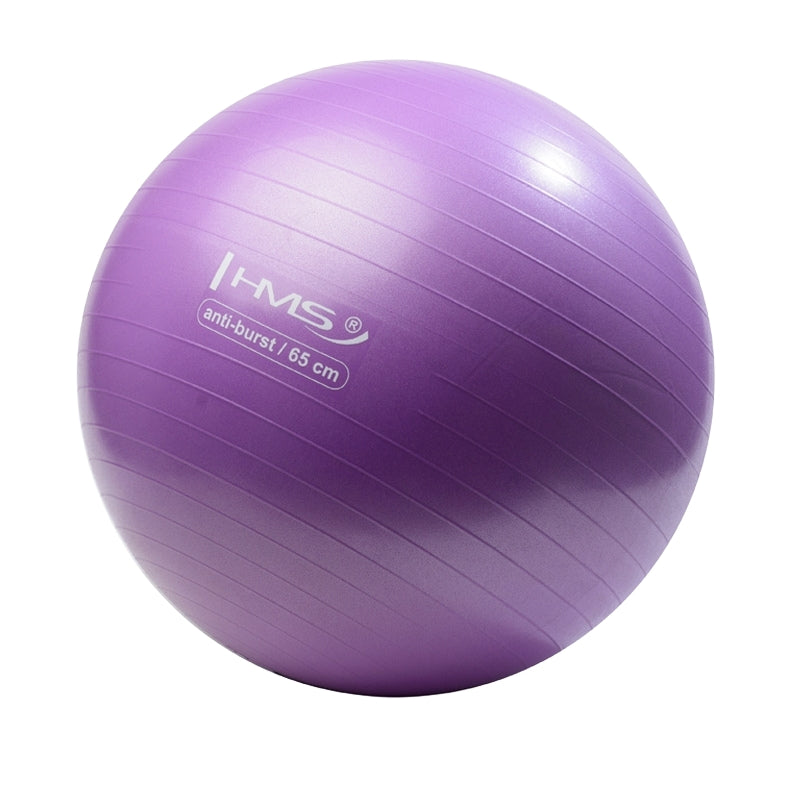 65cm Purple Gym Ball – Anti-Burst, Non-Slip