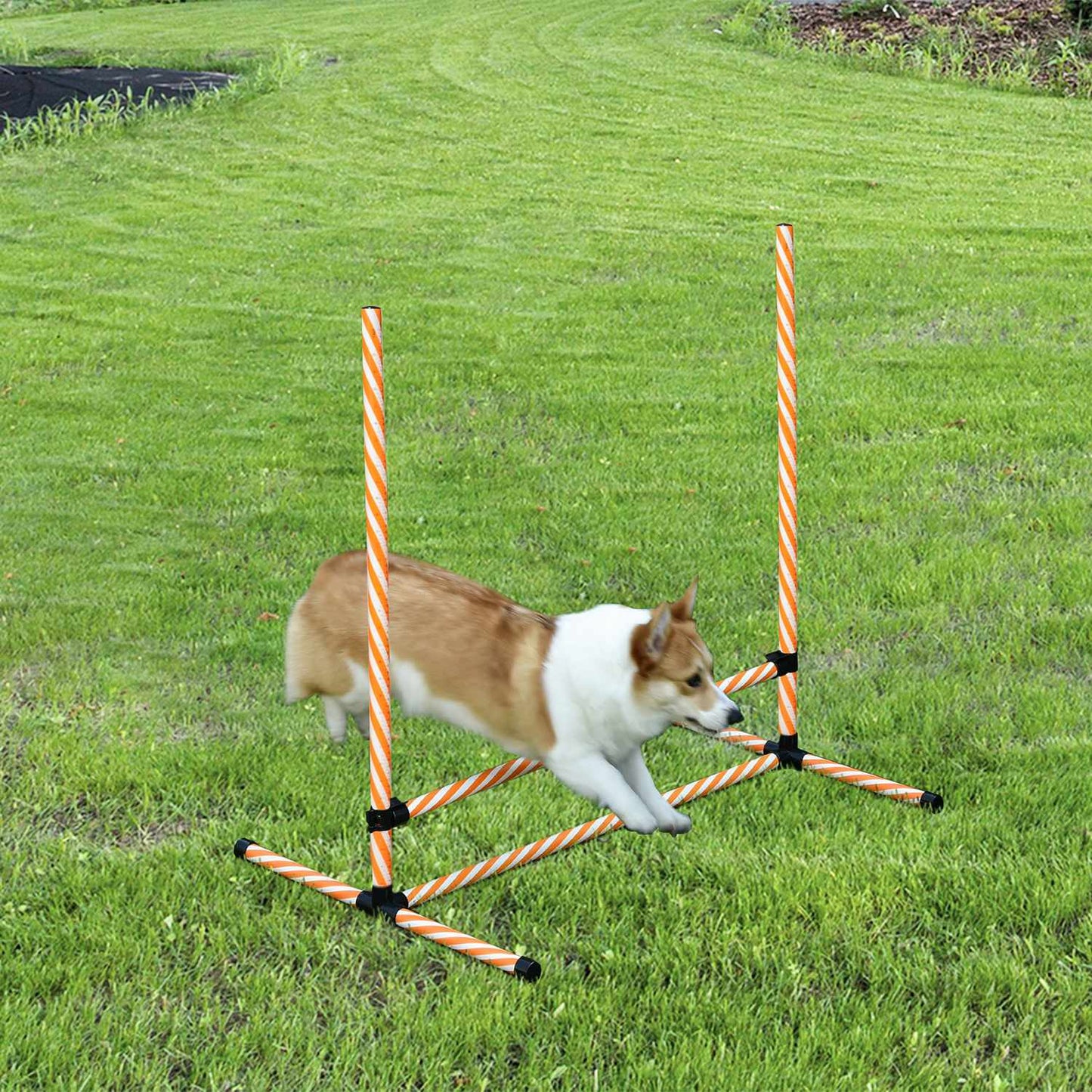 Agility Training Set for Dogs, Orange - Poles, Whistle & Bag