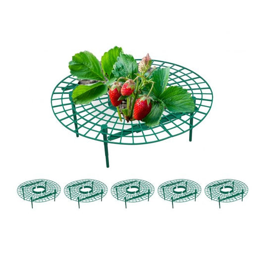 6x Strawberry Supports