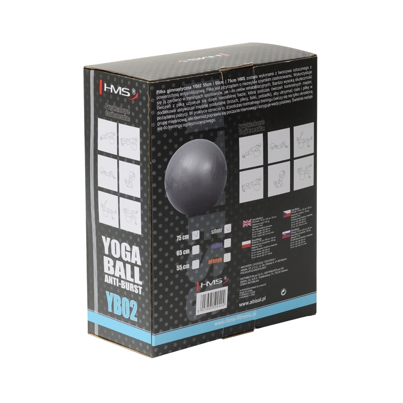 75cm Gray Gym Ball – Anti-Burst, Non-Slip