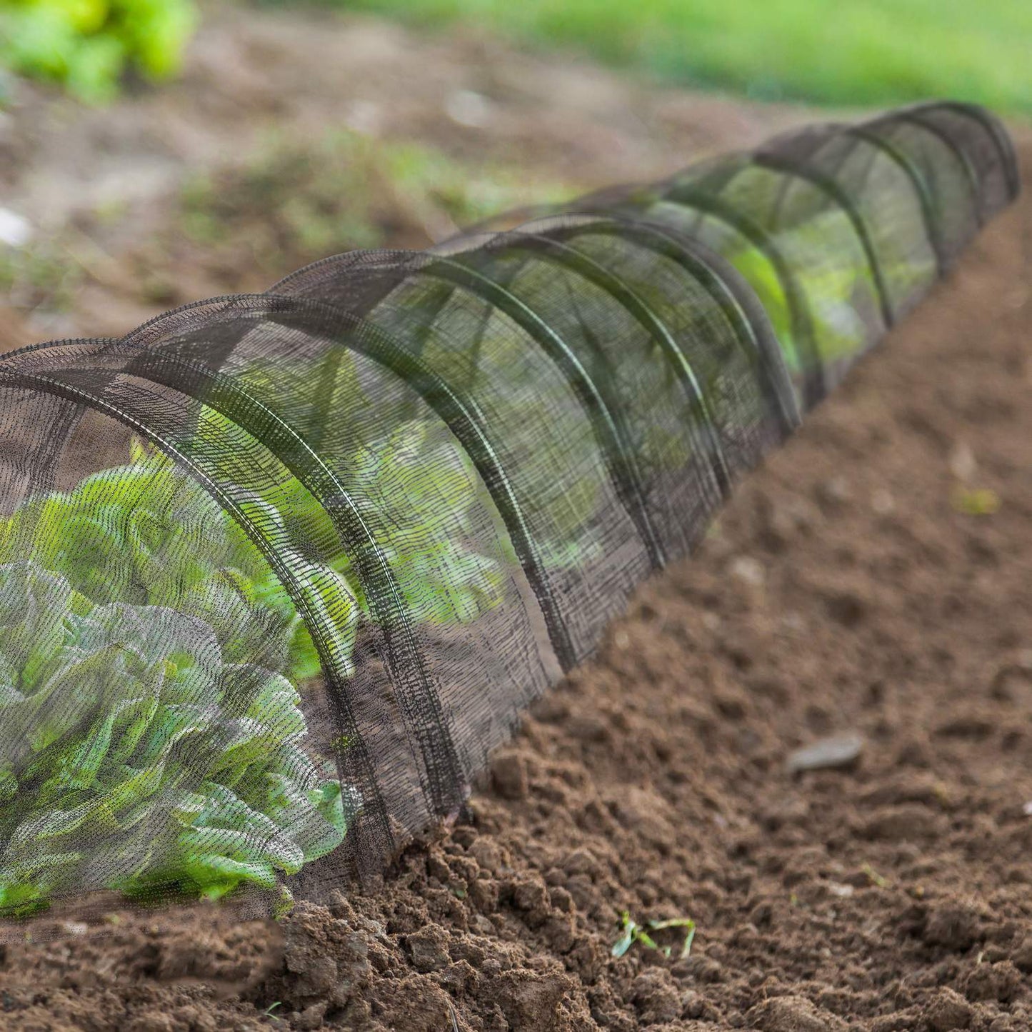 7m Plant Grow Tunnel