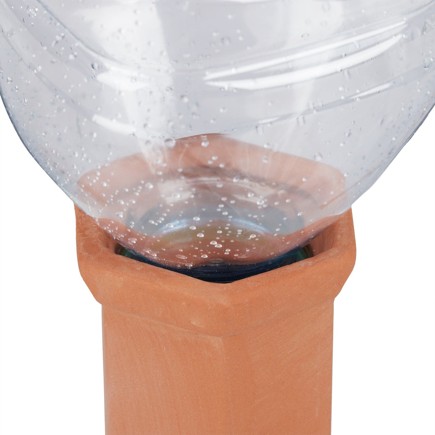 8 Plant Watering Spikes for Vacations or Offices