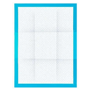 Absorbent hygienic pad - 100 pcs. + bags