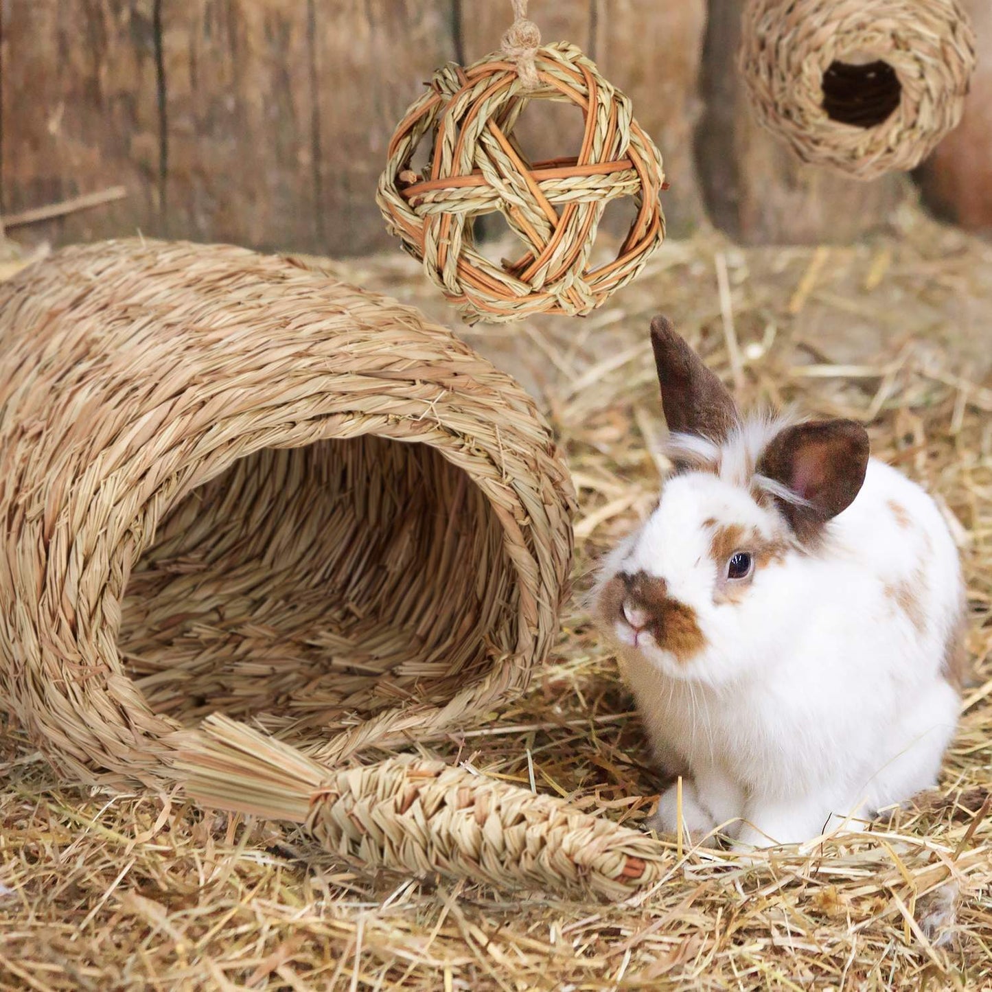 Accessory set for small animals 4 parts