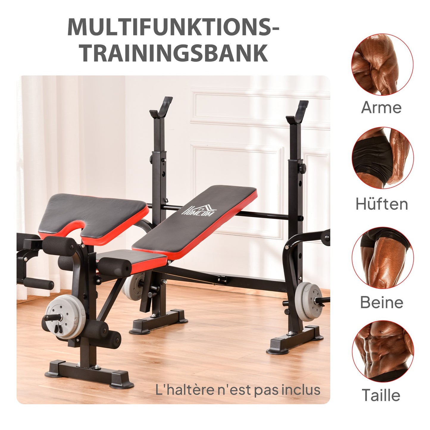 Adjustable Weight Bench, Multi-Position Fitness Station, Steel