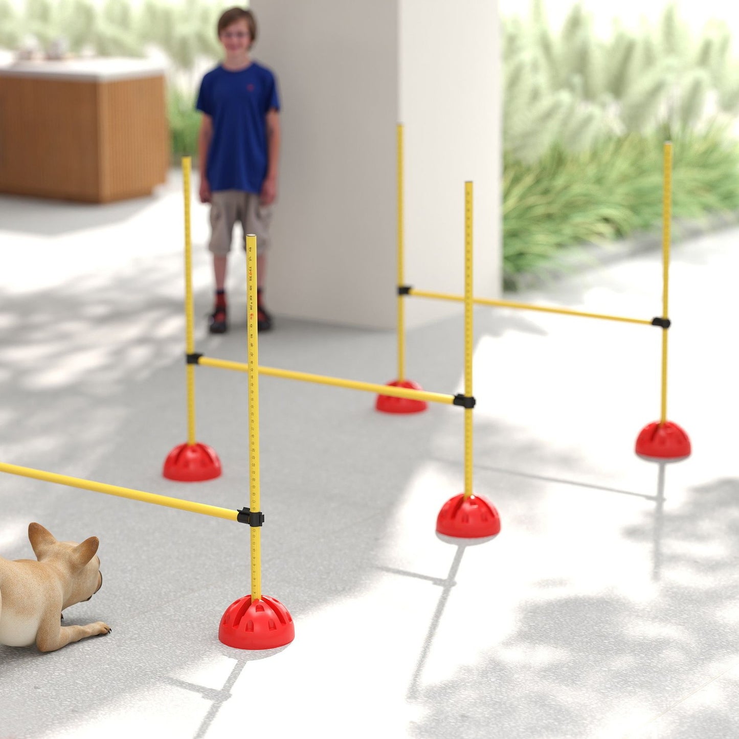 Dog Agility Equipment Set, 5-piece with adjustable obstacles