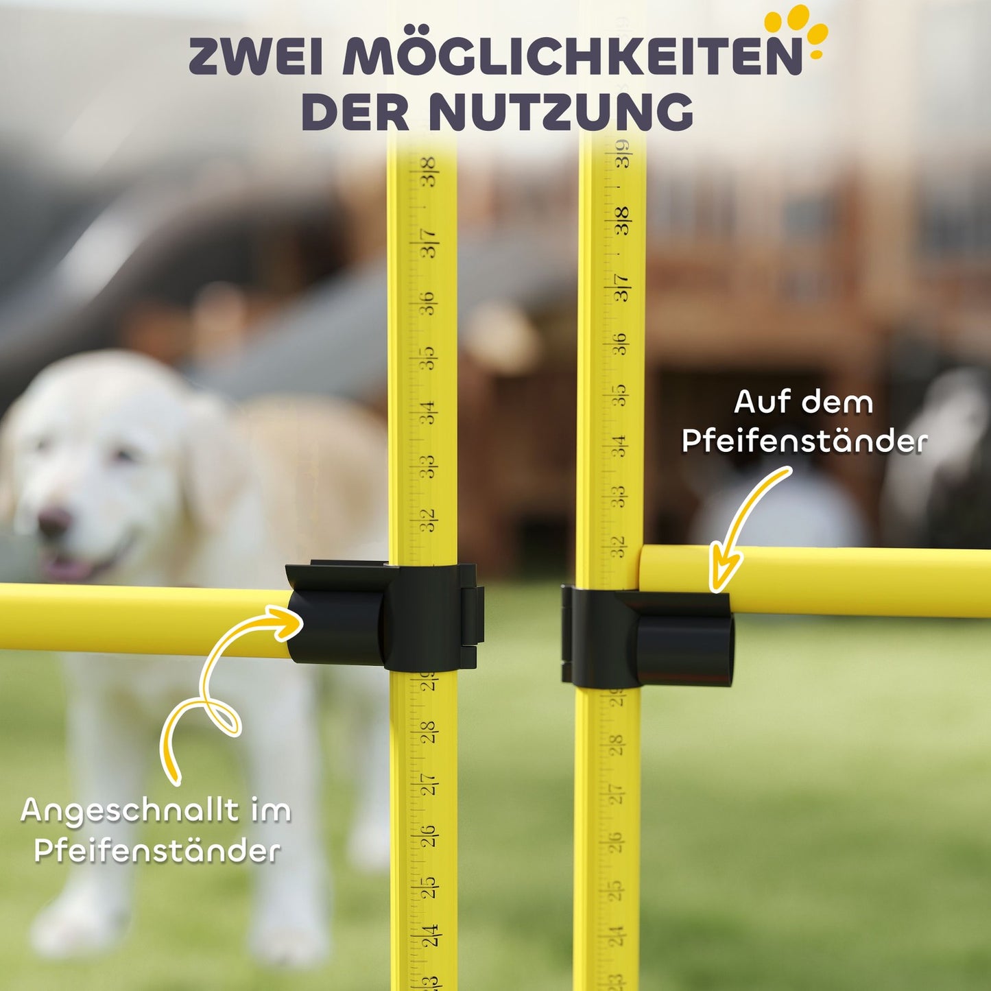 Dog Agility Equipment Set, 5-piece with adjustable obstacles