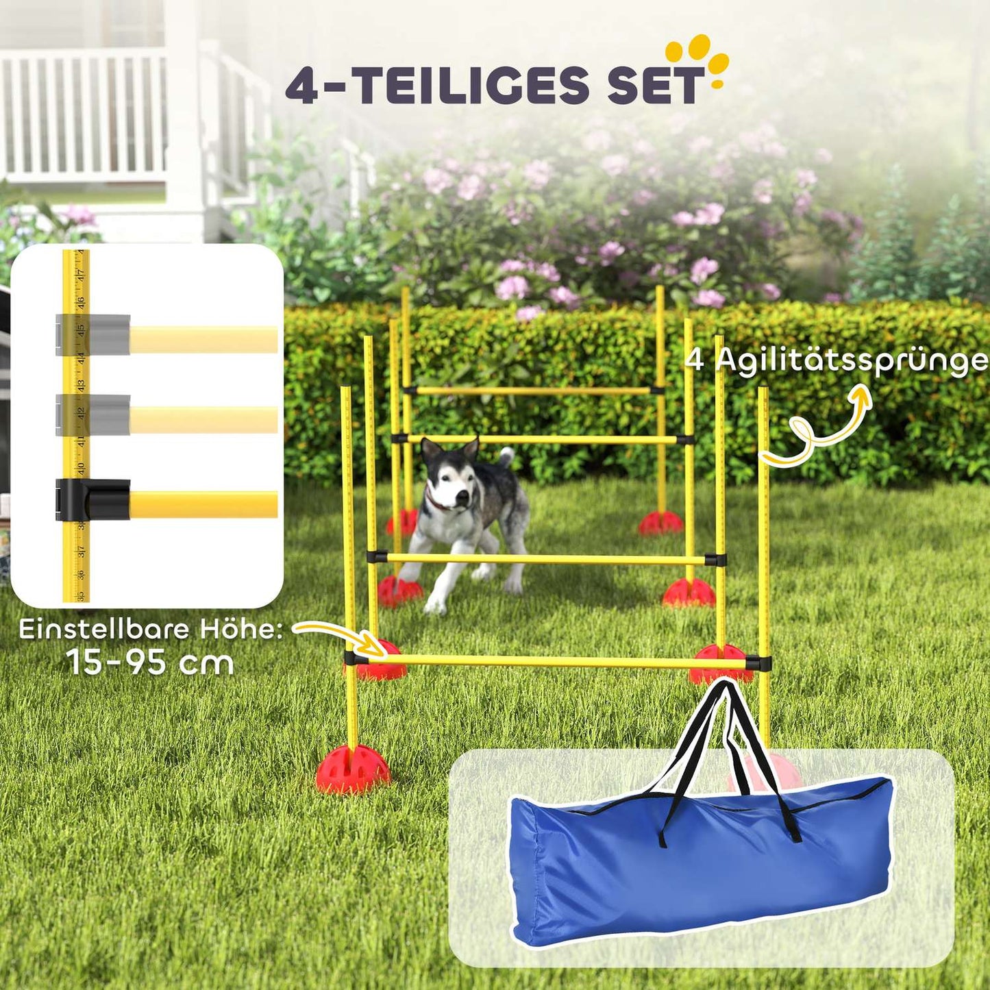 Dog Agility Equipment Set, 5-piece with adjustable obstacles