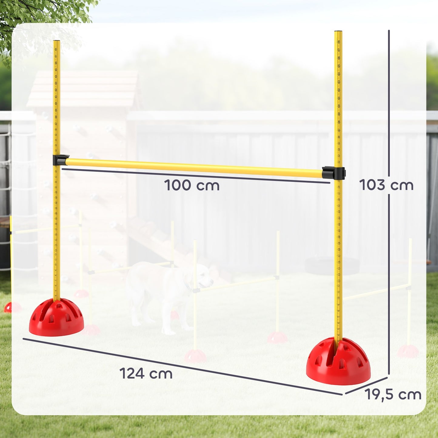 Dog Agility Equipment Set, 5-piece with adjustable obstacles