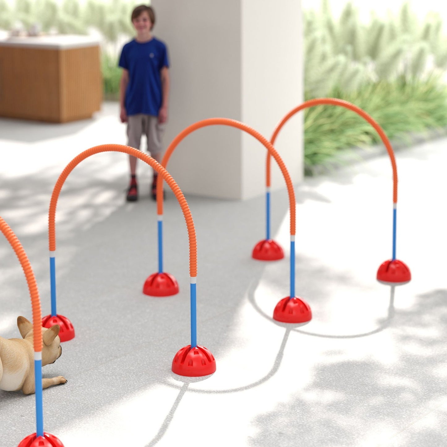 Dog Agility Set - 5-piece adjustable training kit