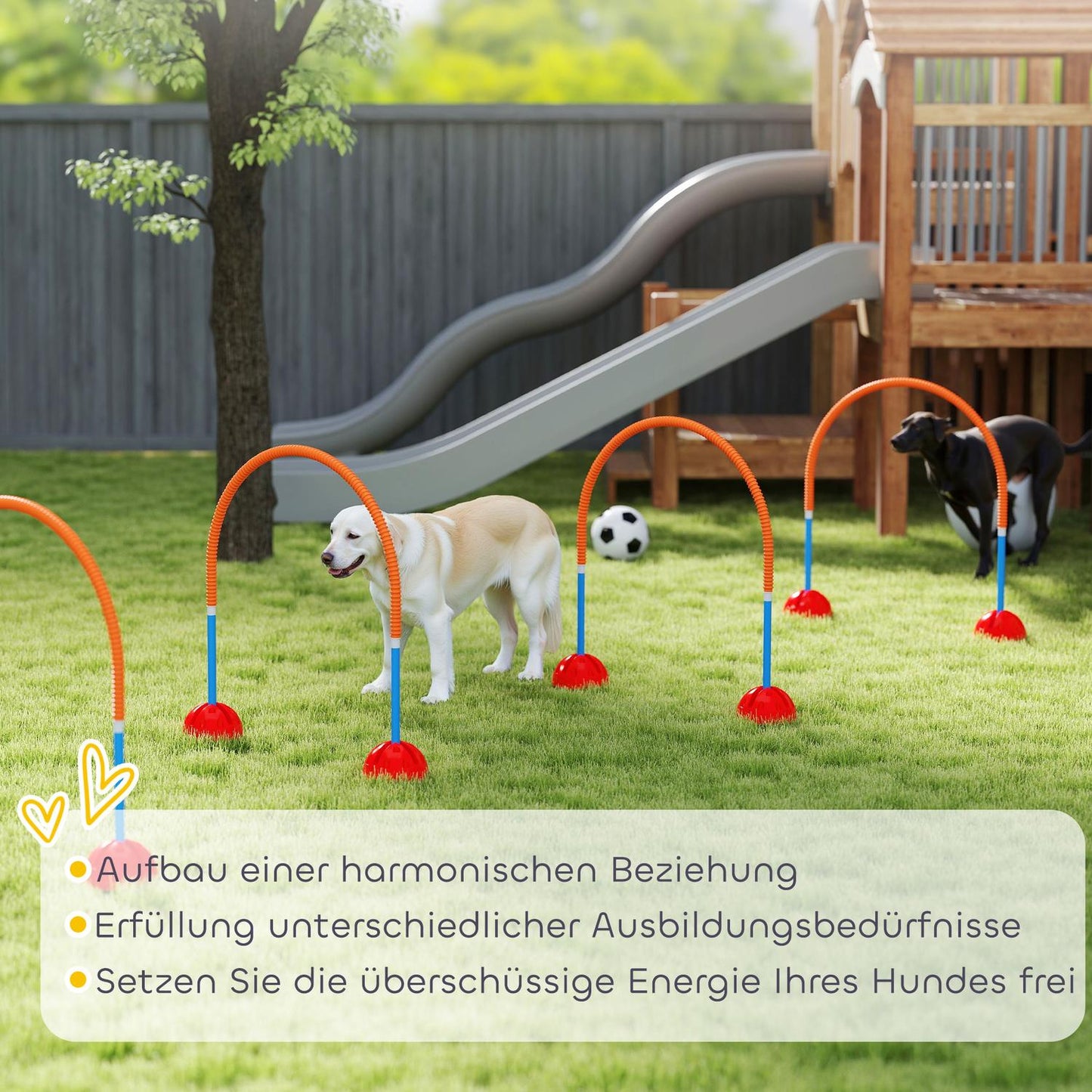 Dog Agility Set - 5-piece adjustable training kit