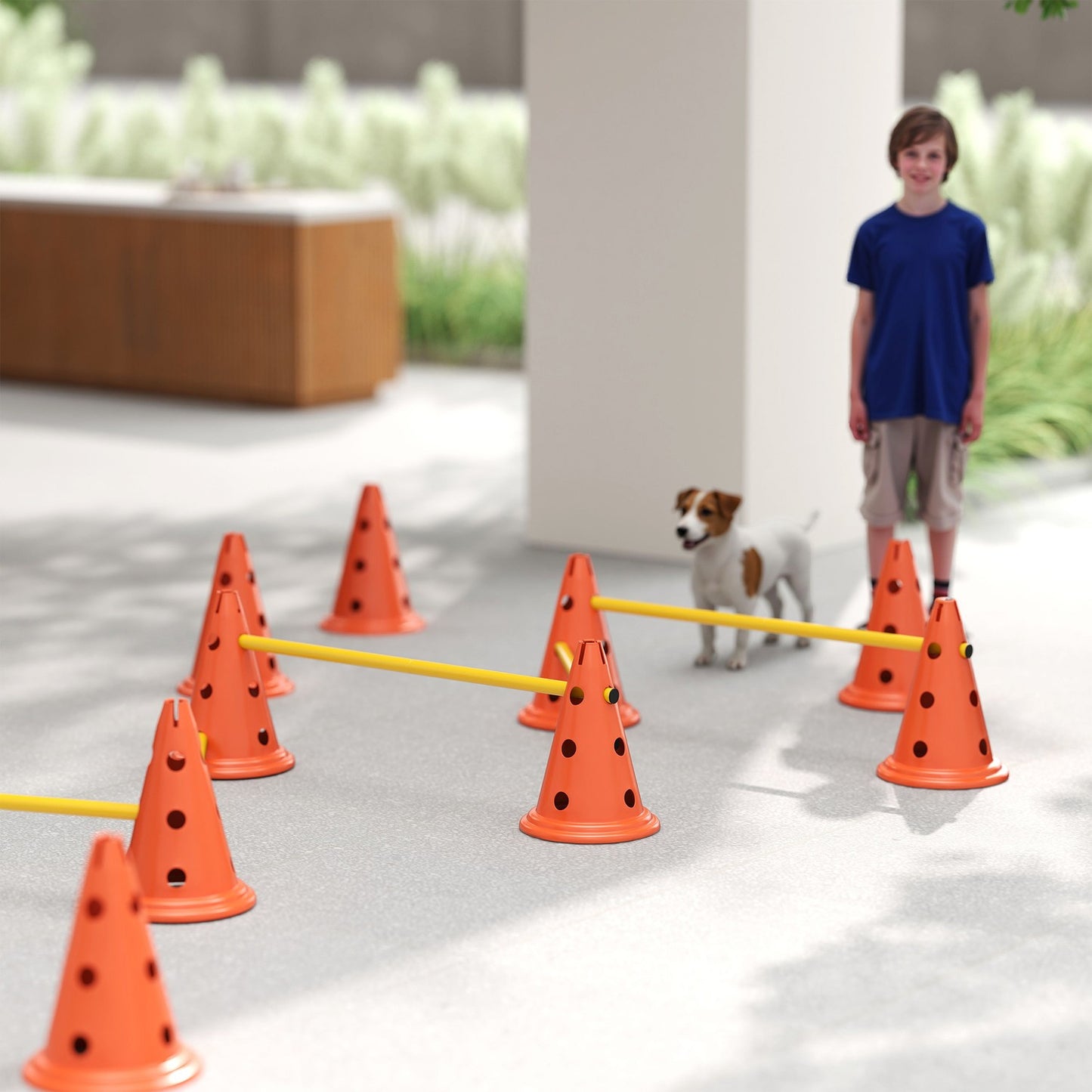 Dog Agility Training Set - 6 adjustable obstacles, 12 cones