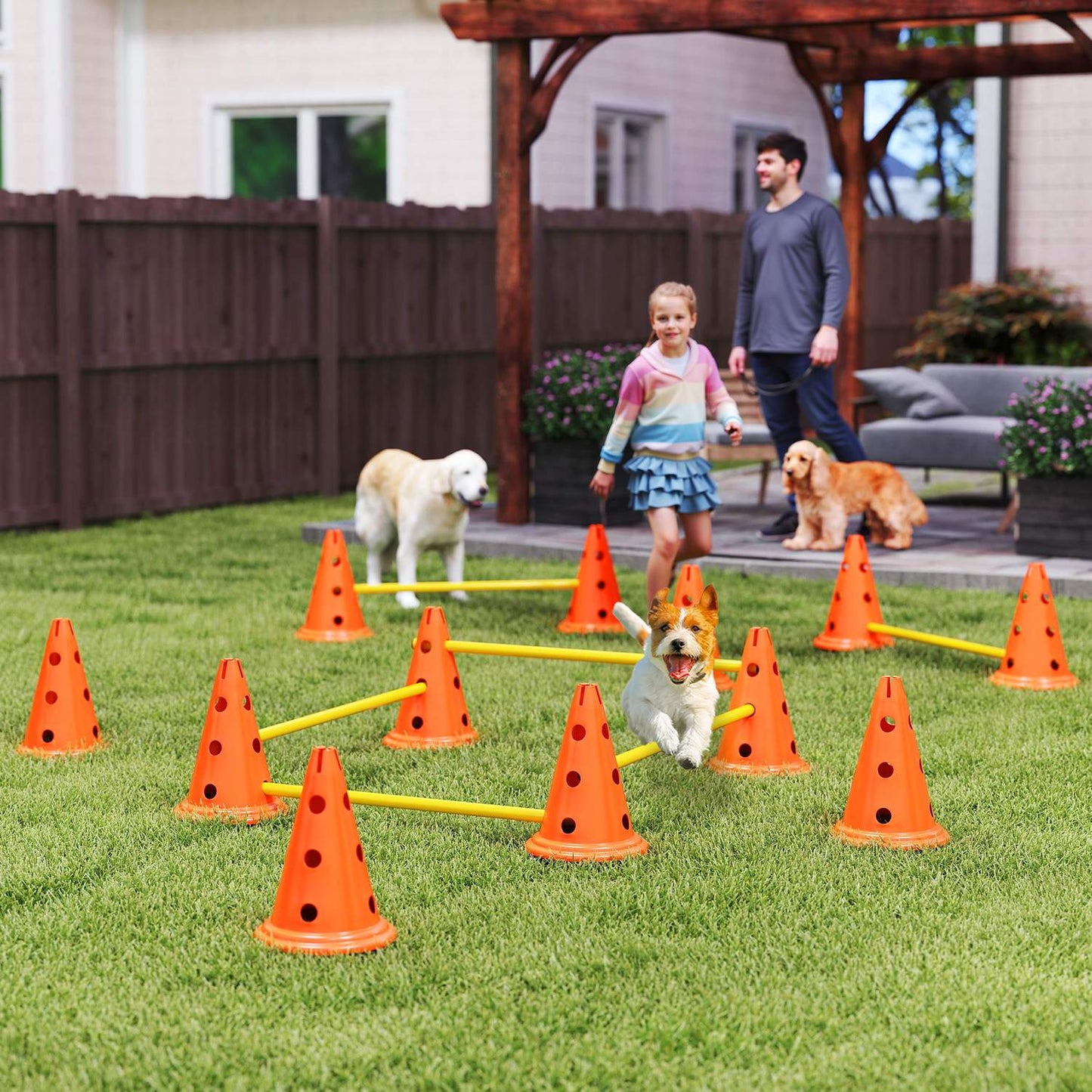 Dog Agility Training Set - 6 adjustable obstacles, 12 cones