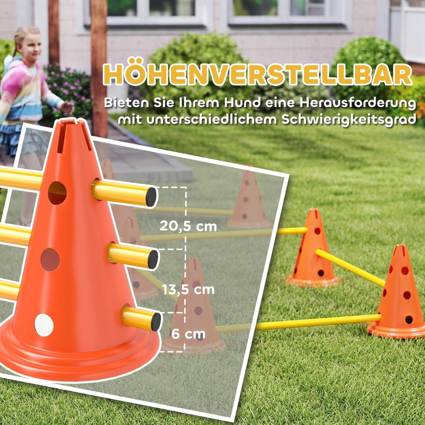 Dog Agility Training Set - 6 adjustable obstacles, 12 cones