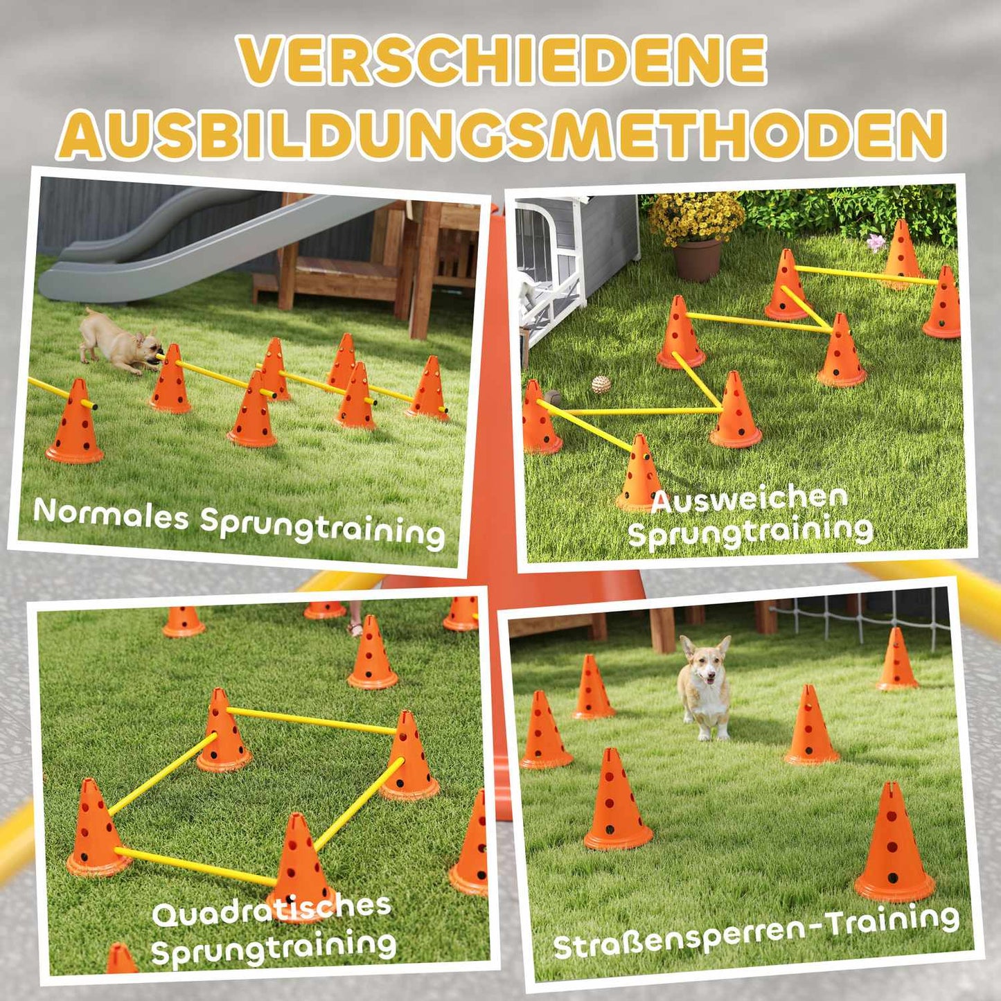 Dog Agility Training Set - 6 adjustable obstacles, 12 cones