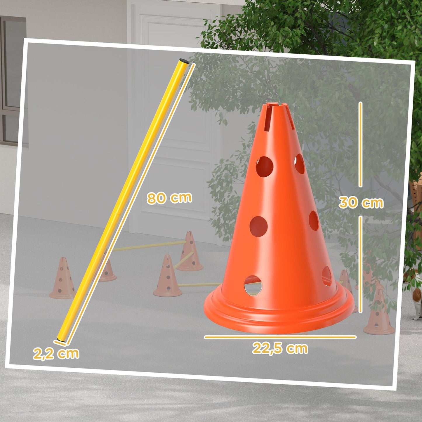 Dog Agility Training Set - 6 adjustable obstacles, 12 cones