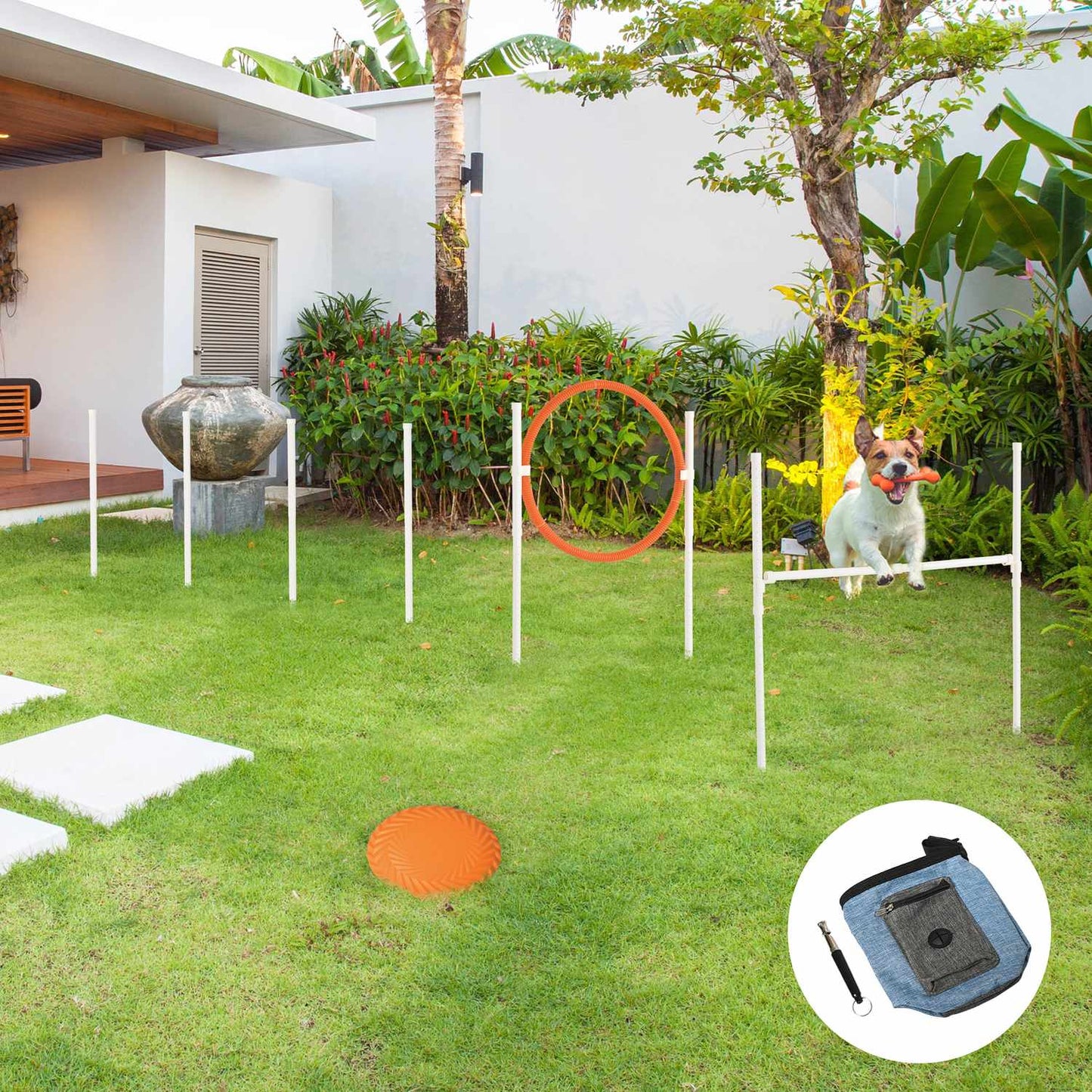 Dog Agility Training Set - 5 pieces, adjustable fences